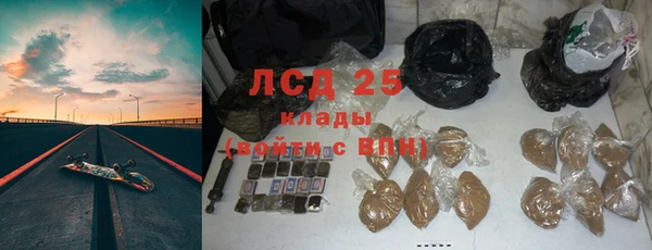 экстази Бородино