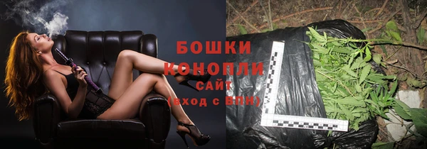 крисы Бронницы
