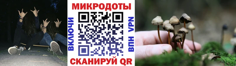 Псилоцибиновые грибы Cubensis  KRAKEN ссылка  Советск 